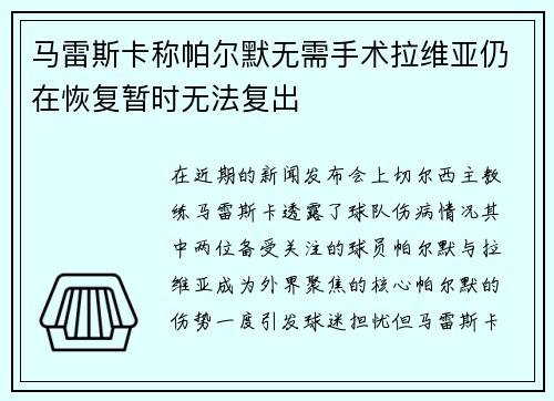 马雷斯卡称帕尔默无需手术拉维亚仍在恢复暂时无法复出